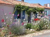 Ile d'Aix